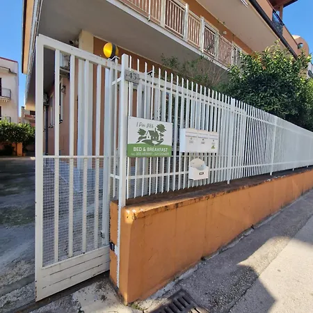 Oda ve Kahvaltı B&B I Pini